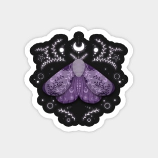 Lepidoptera (Transparent) Magnet