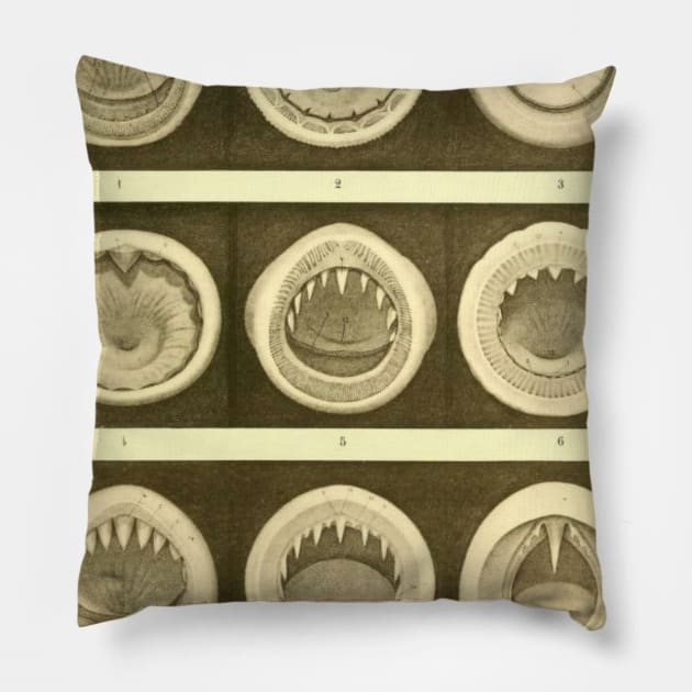 Cephalopod Mouths Pillow by bluespecsstudio