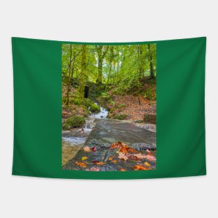 Lake District Waterfall Tapestry