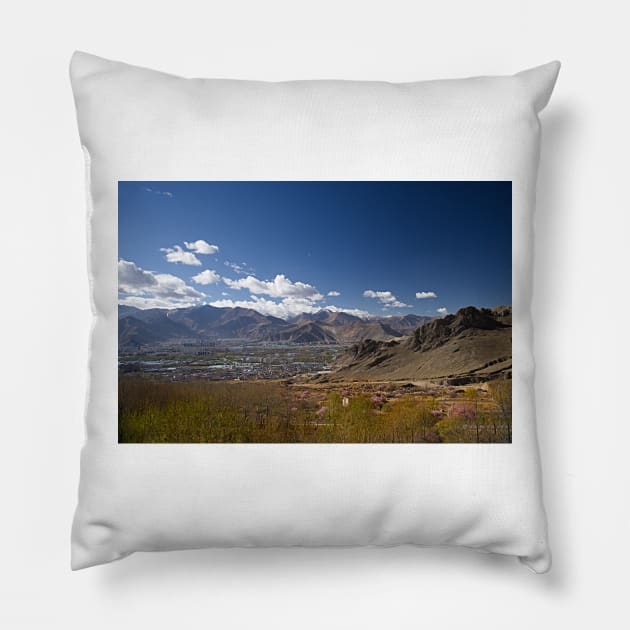 850_0771 Pillow by wgcosby