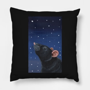 Black Rat Stargazing Pillow