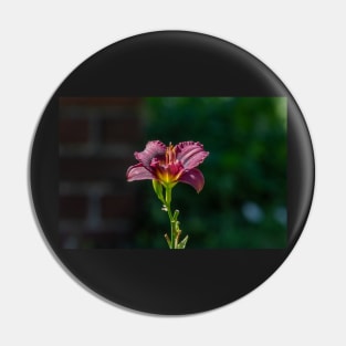 Day Lily Portrait Pin