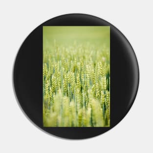 Common Wheat Pin