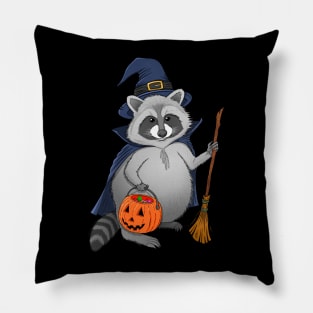 Raccoon Witch Pillow