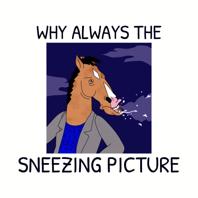 Bojack horseman - WHY ALWAYS THE SNEEZING PICTURE by NordicAmber