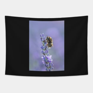 Bumblebee on Lavender Flower with Purple Background Tapestry