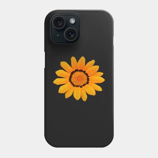 Daisy's in the spring Phone Case by Andyt