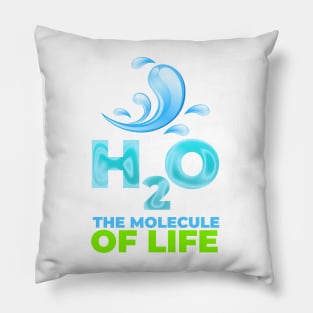 H2O the molecule of life Pillow
