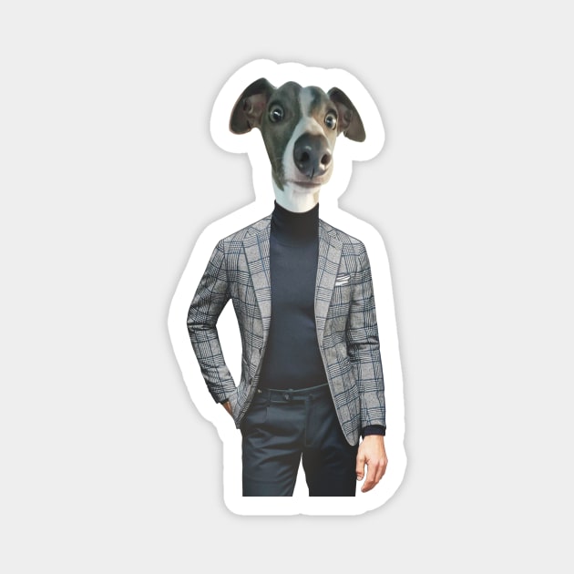 An grey Italian greyhound in a smart and dapper blue mens suit Magnet by Fruit Tee