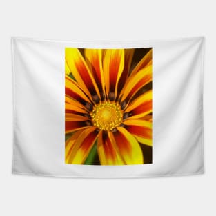 Gazania Tapestry