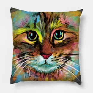 All the Colors of the Kitty Pillow