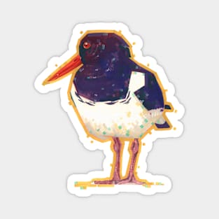 Oystercatcher! Magnet