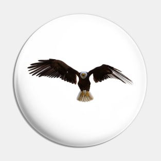 American bald Eagle Pin