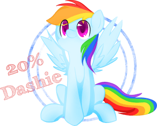 20% Dashie Magnet