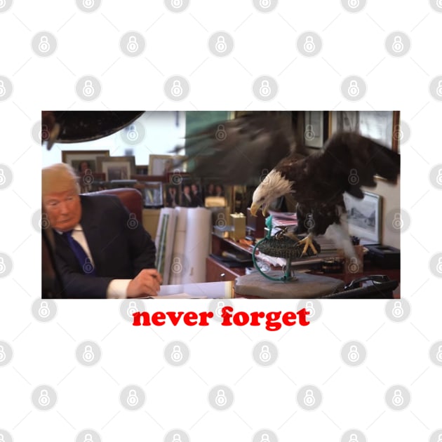 TRUMP Vs. EAGLE: NEVER FORGET by The New Politicals