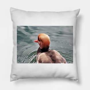 Kolbenente (Netta rufina) - Red-crested Pochard Pillow