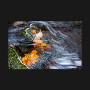 Autumn leaves, Peak District T-Shirt