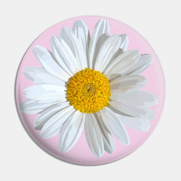 White marguerite blossom on light pink Pin by A_using_colors