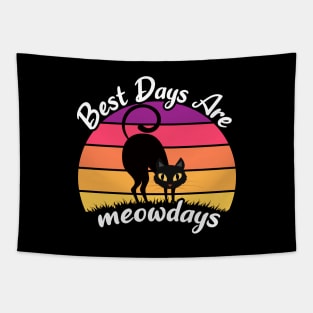 Funny Cat Best Days Are Meowdays - Cat Quote Tapestry