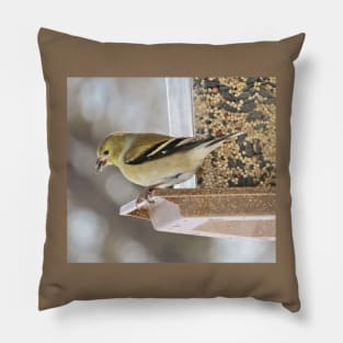 Goldfinch at Feeder No.1 Pillow