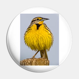 Eastern Meadowlark No 1 Pin