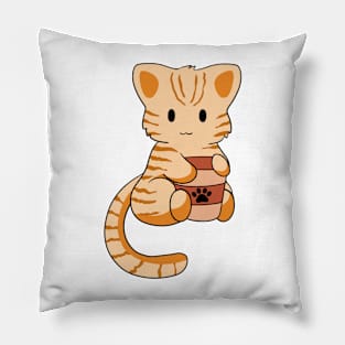 Orange Tabby Cat with Coffee Pillow