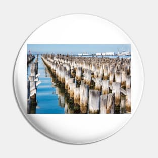 Wooden piles off Princess Pier, Melbourne. Pin