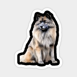 Keeshond Magnet