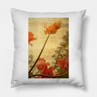 Orange Tulips Pillow