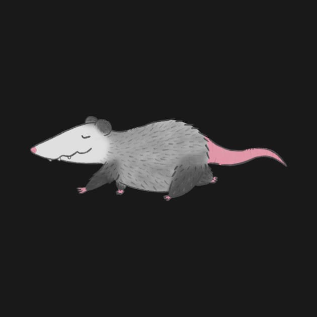 Opossum by IcyBubblegum