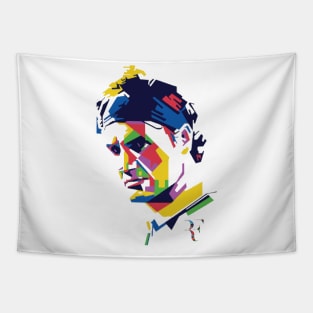 Roger Federer Abstract Colours Tapestry