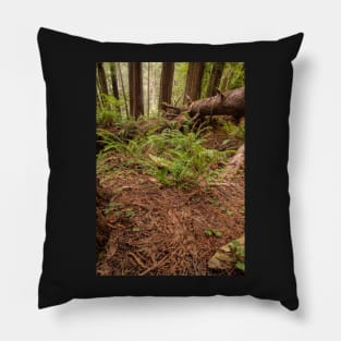 The Forest Floor Pillow