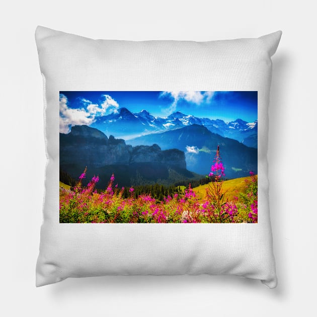 SUMMER ALPS Pillow by Simon Schuhmacher Photography