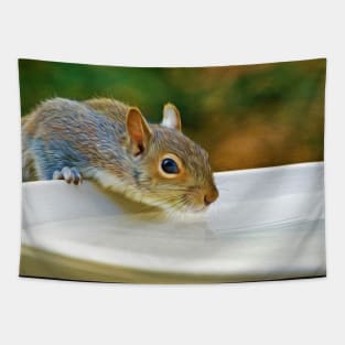 North American Ground Squirrel Tapestry