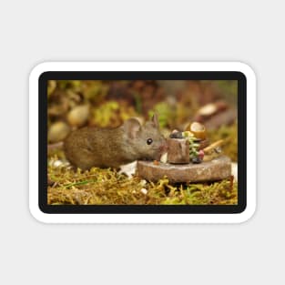 wild house mouse with picnic table Magnet