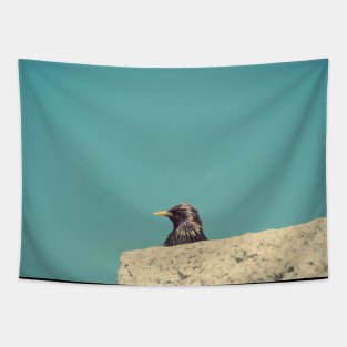 Peekaboo Tapestry