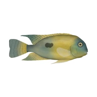 Nicaragua Cichlid T-Shirt