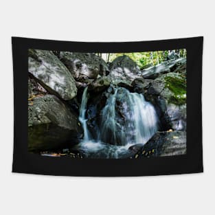 Trout Brook Falls Tapestry