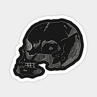 Skull Doodle Magnet