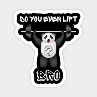 Do You Even Lift? Magnet