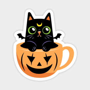 Pumpkin Spice Catte Magnet