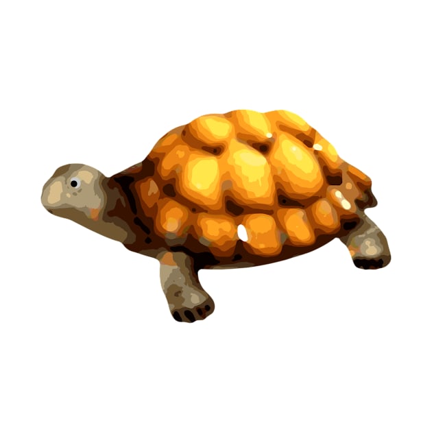 Tortoise by MarkusMikaelH