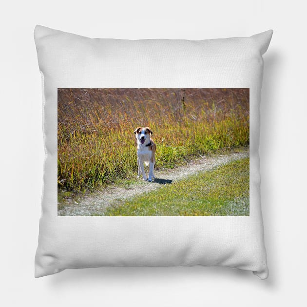 Maisy on the Prairie Pillow by bgaynor