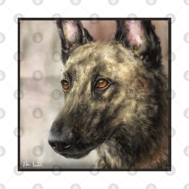 A Painting of a Brindled Dutch Shepherd by ibadishi