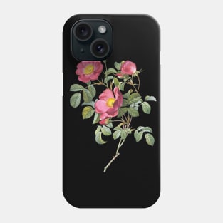 Vintage Rose #2 Phone Case