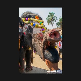 Elephant Blessing. T-Shirt