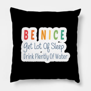 Be Nice Get Lots Of Sleep  Drink Plenty Of Water Pillow