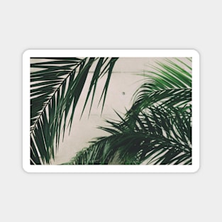 Artful Palm Leaf Graphic Magnet