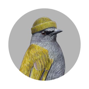 Grey-bellied bulbul T-Shirt