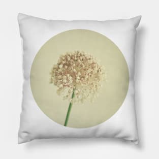 Sphere Pillow